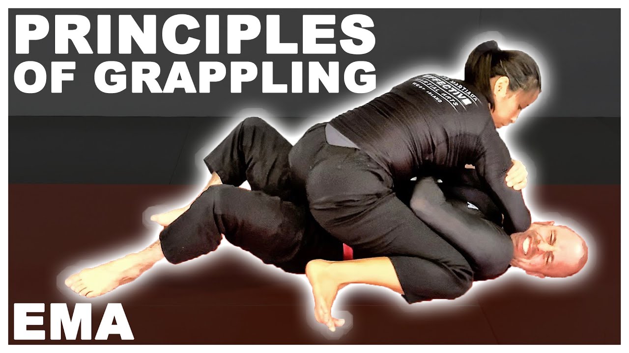 The 5 Basic Principles Of Grappling For Mma Youtube
