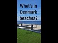 What's there in Denmark beaches/ #shorts #Travel #Bhuvanatamilvlogsdenmark #Europe #beach #tamilvlog