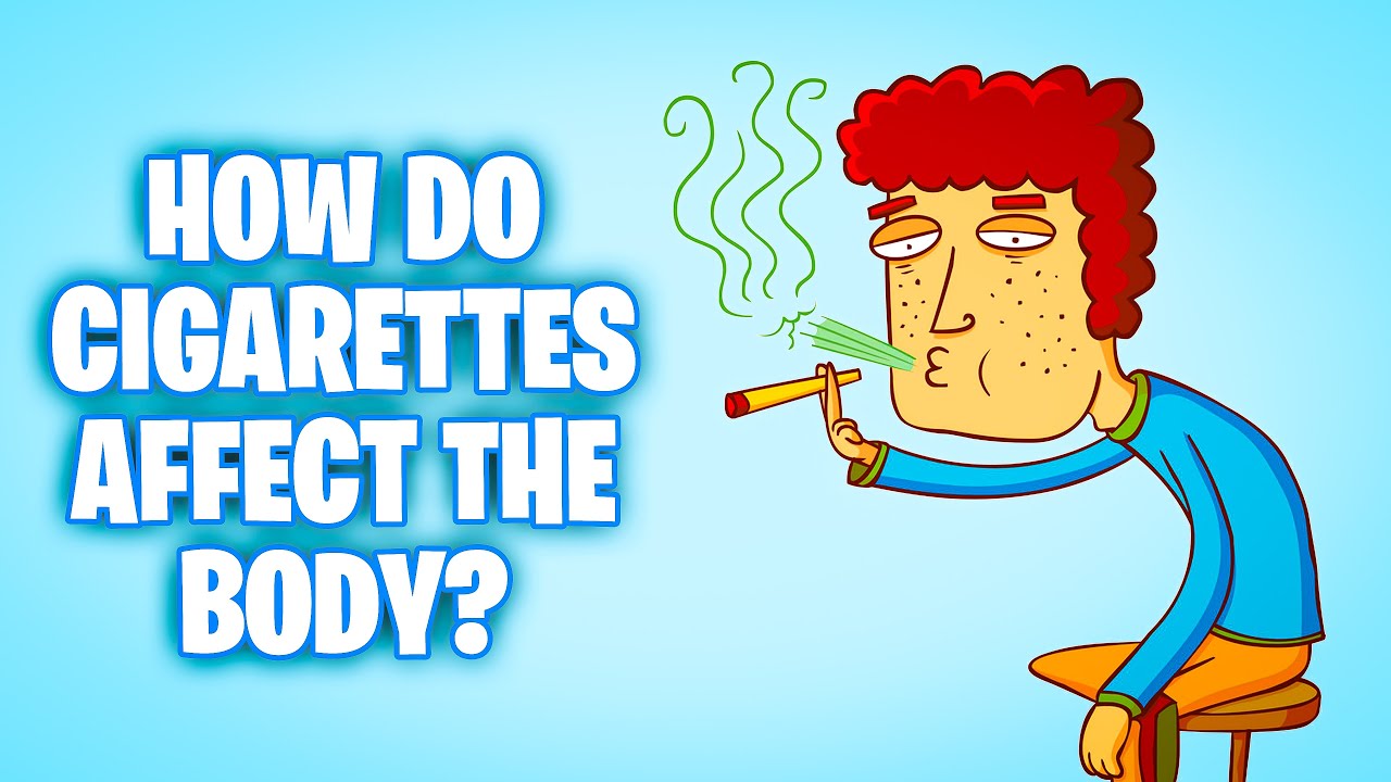 How Do Cigarettes Affect The Body Youtube