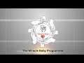 The Miracle Baby Programme