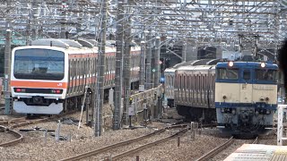 2022/01/19 【廃車回送】 E217系 Y-10編成 EF64 1030 府中本町駅 | JR East: E217 Series Y-10 Set to be Scrapped