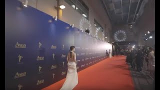 AFA13 Red Carpet Highlight ｜第13屆亞洲電影大獎 紅地毯精華片段