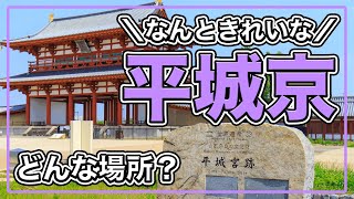 49. 【約10万人が住んでいた！】平城京はどこにあったの？どんな場所だった？平城京に都を移した天皇は誰？【奈良時代】#日本史のじかん