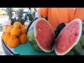 Fresh Fruit Juice Making / 제주 생과일 주스 / Korean Fruit Juice Shop