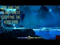 How to Escape the Kuro Bird in Ori and the Blind Forest