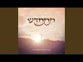 Mi Huish (feat. Hershy Weinberger)