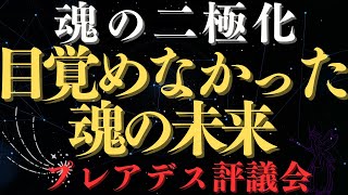 【目覚めなかった魂の秘密】魂の二極化の未来について。プレアデスからのメッセージ