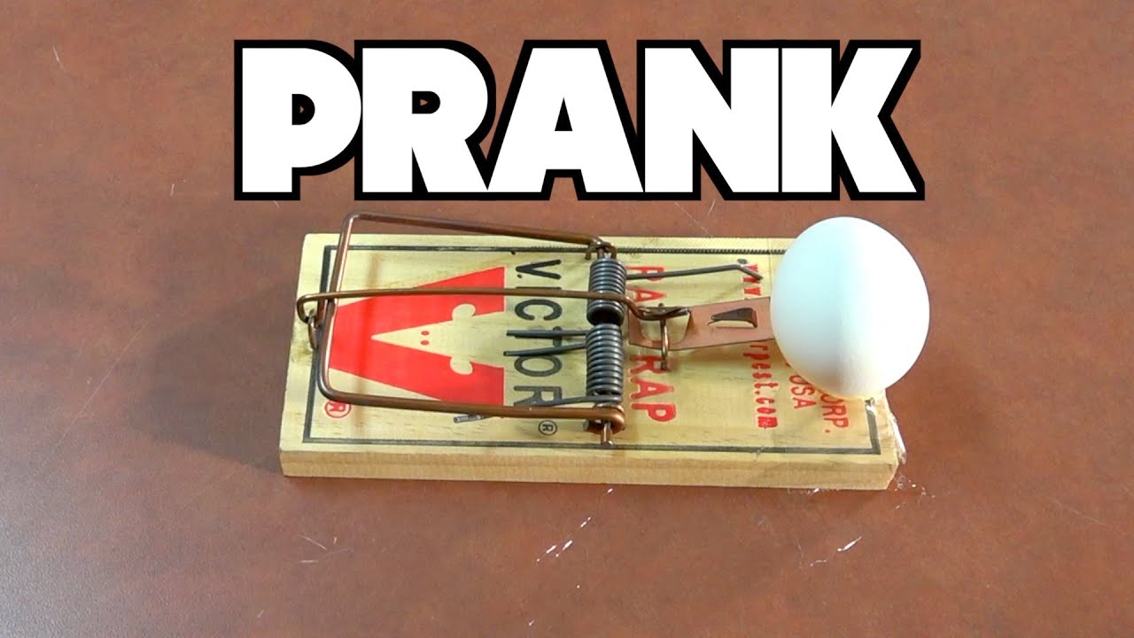 Epic Mouse Trap Prank You Can Do Youtube