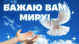 Бажаю вам миру. Нехай все буде добре у всіх. Мирного неба над головою і щастя людям