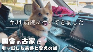 【田舎暮らし】引越し後初の動物病院へ！チックンしてもらいに行ってきました！【#34】