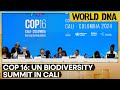 COP16 Biodiversity Summit: 200 Countries To Take Part In Debate During Biodiversity Summit | WION