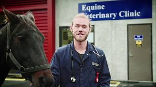 Veterinary Technology with Jono | Massey University