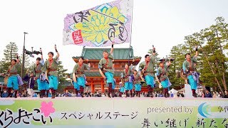 [4K] よさこい踊り屋『菊頭』　京都さくらよさこい 2019 1日目 神宮道 さくよさ