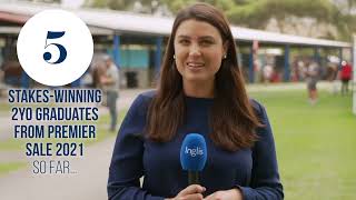 2022 Inglis Premier Sale Preview - Inglis TV