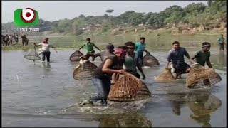 হারিয়ে যেতে বসেছে নাটোরের ঐতিহ্যবাহী মাছ ধরা | Natore Fishing | Bangla News