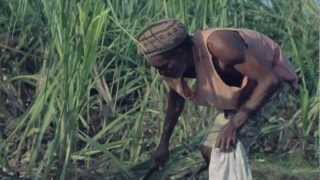 TYDAL KAMAU - TELL DEM FI FARM - OFFICIAL VIDEO 'FOCUS RIDDIM'