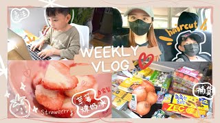 Weekly Vlog♥簡單自製台灣便利店限定美食～草莓練奶冰！終於買了modori鍋具♫♪準備美味魚湯✦小賢學打字✦皓少畫畫技能解鎖 ┃Katy Beauty