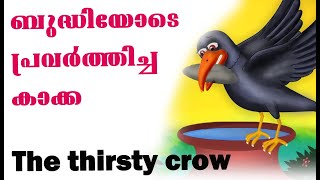 കാക്കയുടെ ബുദ്ധി |The thirsty Crow | ദാഹിച്ചു വലഞ്ഞ കാക്ക |OMG-wise Crow