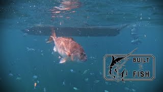 Built to Fish Season 2 Episode 12 - Great Barrier Island Part 2