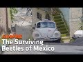 The Amazing Volkswagens of Mexico | A Look Inside