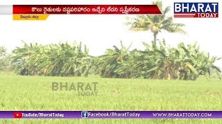 కనుమరుగౌతున్న పచ్చదనం | Special Story On Nellore Urban Development | Bharat Today