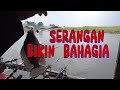 SERANGAN BIKIN BAHAGIA - CIKEBLUK - KOTABARU