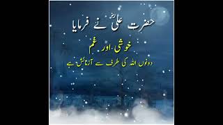 Hazrat Ali R.A Best Urdu Quotes | Aqwal e Zareen | New islamic Status