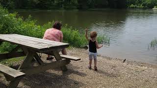 Arvo at Yellowwood Shelter picnic and playing by lake gimbal