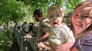 Hogle Zoo in Salt Lake City Utah