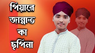 Piyare Jannat Ka Safina(পিয়ারে জান্নাত কা ছপিনা)Islamic Naat By Mohammad Jahedul Alam।।ZAHED STUDIO