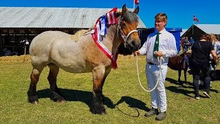 Dyrskue hjørring 2018 - Denmark Farmers Festival