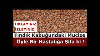 İŞTE ÇÖPE ATTIĞINIZ FINDIK KABUĞUNUN İNANILMAZ MUCİZEVİ FAYDASI AÇIKLANDI !!!!