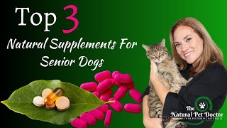 Top 3 Supplements For Senior Dogs | Best Natural Dog Remedies
