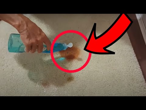 How to Remove Ketchup & Soy Sauce Stains From Carpet in 5 Minutes How to Remove Ketchup & Soy Sauce Stains From Carpet in 5 Minutes
