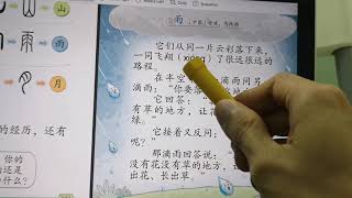 （单元五：雨）一年级朗读华文课文（温子淼）