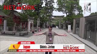 🇯🇵 Shinto Shrine | El Castor Network™