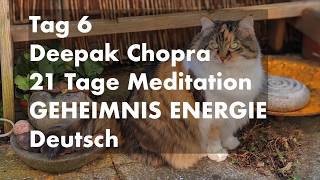 Tag 6 der 21 Tage Meditation \