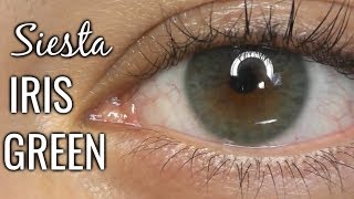 Siesta Crystal Iris Green Review | ZOOMED + Daylight (discount danica10)