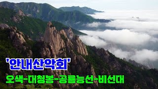 설악산 오색 - 대청봉 - 공룡능선 - 비선대 / 안내산악회 버스 타고 무박2일 설악산행