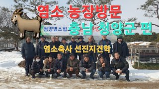 신성티브이[염소방송tv]충청남도 청양군 염소협회 흑 염소 축사 선진지견학에 함께 했습니다 ^^ #농장방문 #흑염소 #염소축사