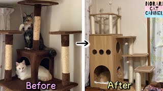 【猫グッズ】猫たちに新しいキャットタワーをプレゼントしました！ーWe bought a new cat tower!!!