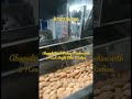 Almond Packing Machine with 2 Head Weigher Filler |Automatic Badam,Dryfruits Packaging Machine