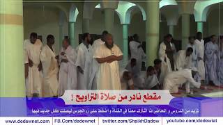 مقطع نادر من إمامة الشيخ الددو للتراويح @dedewiat #شارك