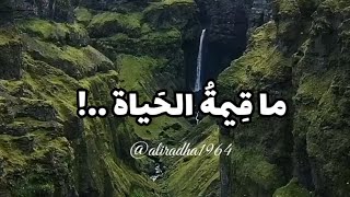 ما قيمة الحياة .. !