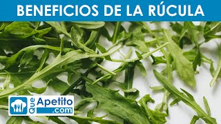 8 Propiedades y Beneficios de la RÚCULA 🌿✅ | QueApetito