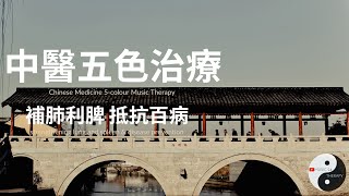 【中医 音乐】五色治疗 补肺音乐 | 雨碎江南 竹笛曲 | 輕鬆 音樂 | 中医 治疗 | 健康 音樂 | 養生 音樂 | 中醫 音樂 | 專業 音樂 | 音樂 治療 Music Therapy