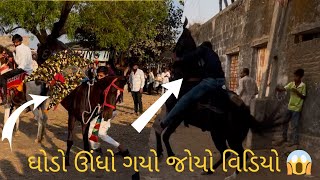 ઘોડો ઊંધો ગયો જુઓ 😱 ? Khodiyana nu fuleku