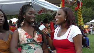 DNT Coverage of 31st Chicago Ghanafest 2019 Episode 2