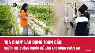 Global labor 'earthquake': Young people abandon rat farming for manual labor | VTV24