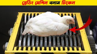 Shredding machine vs Chicken | অসাধারণ ৫টি এক্সপেরিমেন্ট | Elephant toothpaste | Top 5 Experiments